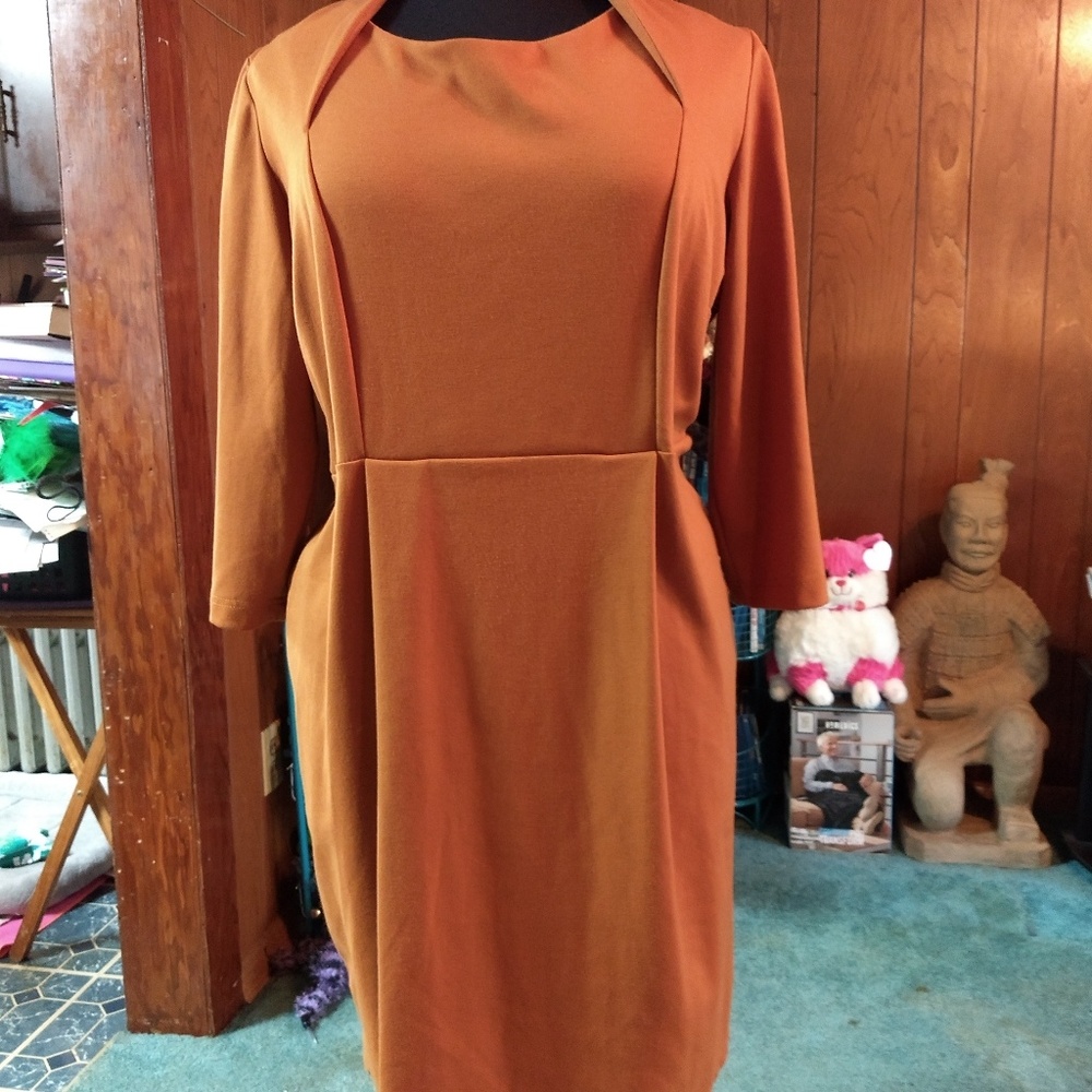 Beautiful well made Fall Dress.